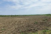 7 Acres Canal Attached Agriculture land for sale near Hiriyur