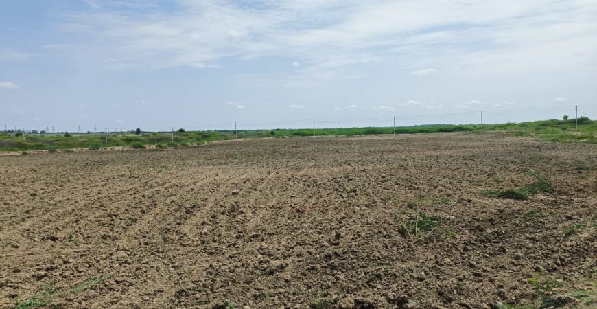 7 Acres Canal Attached Agriculture land for sale near Hiriyur