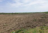 7 Acres Canal Attached Agriculture land for sale near Hiriyur