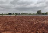 6.2 Acre Highway attached farmland in Tumkur