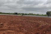 6.2 Acre Highway attached farmland in Tumkur