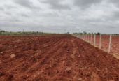 6.2 Acre Highway attached farmland in Tumkur