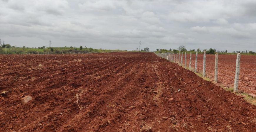 6.2 Acre Highway attached farmland in Tumkur