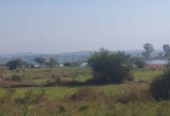 1 acre 35 Guntha Agriculture land in IGATPURI