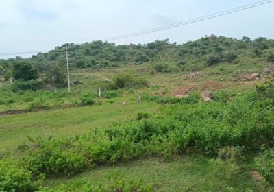 2 acres for Villa Construction Near Ramoji Film City
