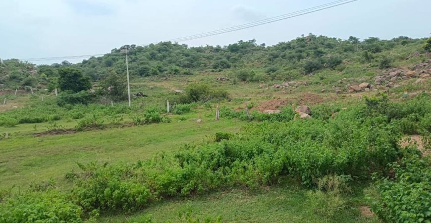 2 acres for Villa Construction Near Ramoji Film City