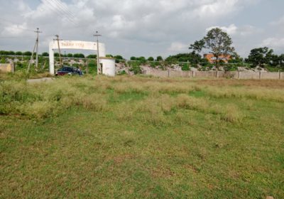 1315 square yard commercial plots
