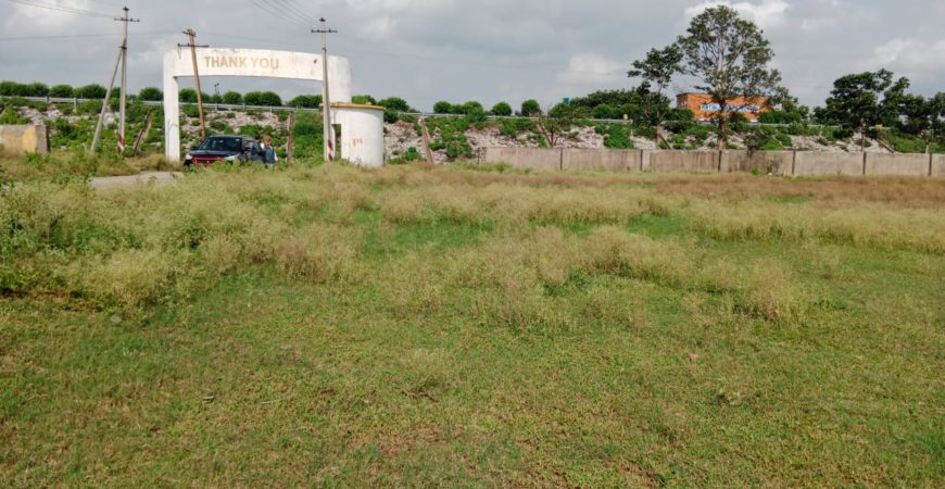 1315 square yard commercial plots