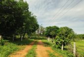 12 Acre Agriculture land for sale Near Yadadri