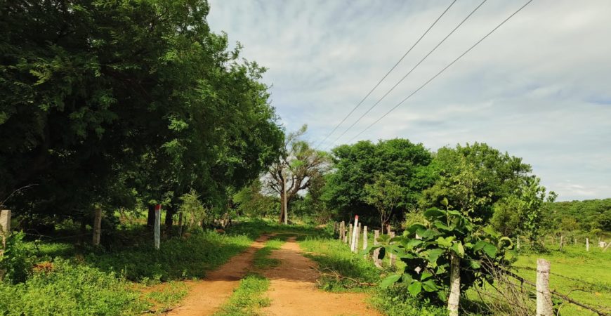 12 Acre Agriculture land for sale Near Yadadri