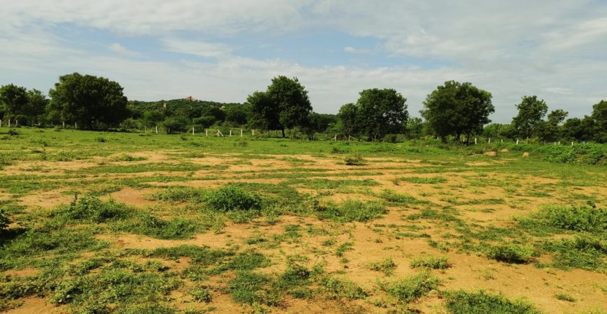 12 Acre Agriculture land for sale Near Yadadri