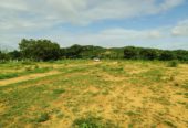 12 Acre Agriculture land for sale Near Yadadri