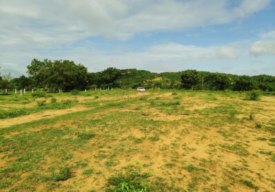 12 Acre Agriculture land for sale Near Yadadri