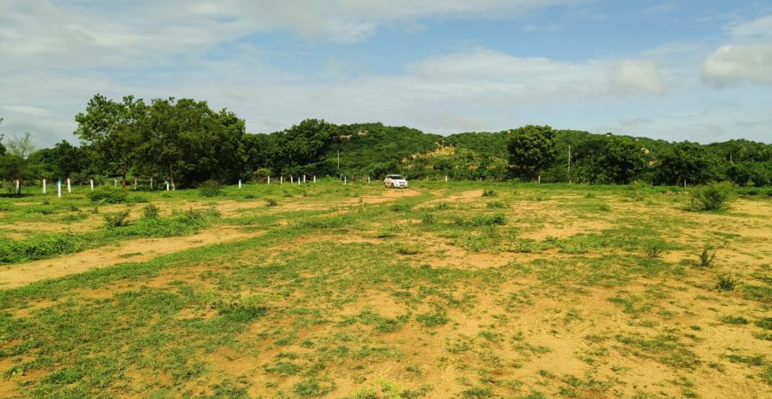 12 Acre Agriculture land for sale Near Yadadri