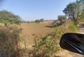 56 guntha farmland for farmhouse in Igatpuri dist.