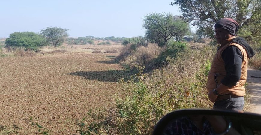 56 guntha farmland for farmhouse in Igatpuri dist.