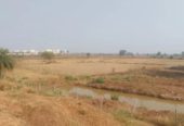 15 Acre Agricultural Land in Raipur