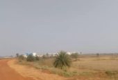 15 Acre Agricultural Land in Raipur