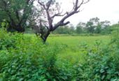 500 Acre Farmland at Karjat