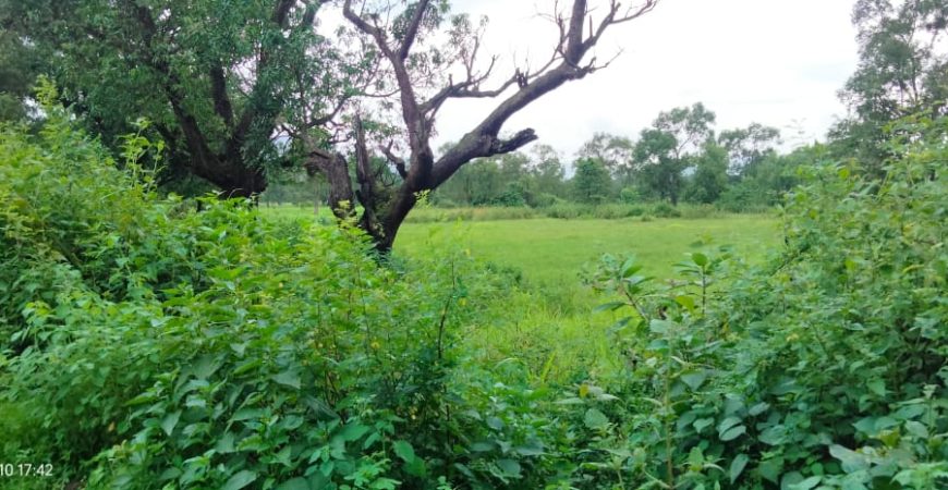 500 Acre Farmland at Karjat