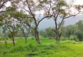 28 Acre Farmland in Karjat