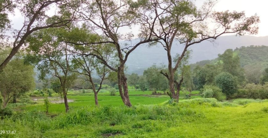 28 Acre Farmland in Karjat