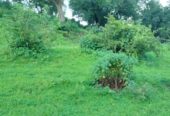 28 Acre Farmland in Karjat