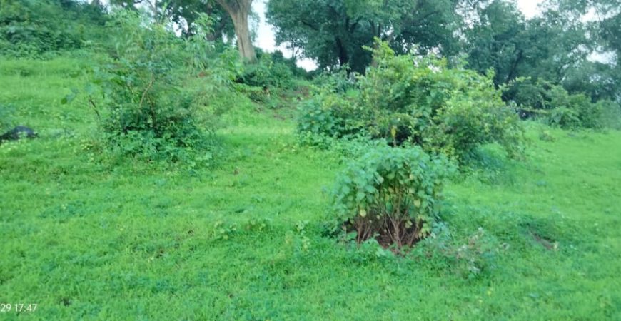 28 Acre Farmland in Karjat