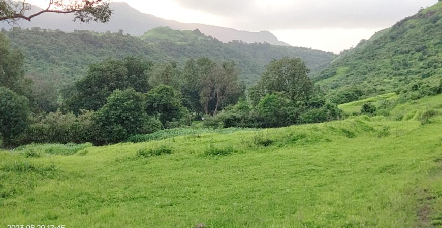 28 Acre Farmland in Karjat