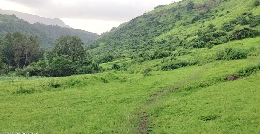 28 Acre Farmland in Karjat