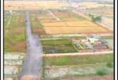 100 Sqr yard Farm Plot in Noida