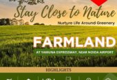 100 Sqr yard Farm Plot in Noida