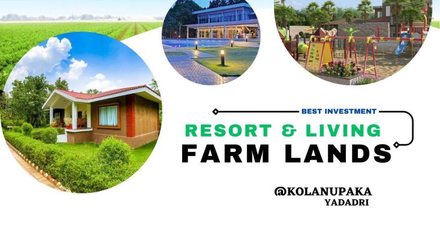 Resort Farm Lands in kolanupaka Yadadri