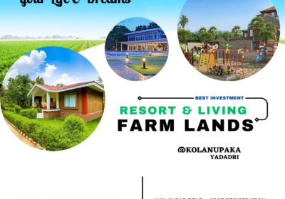 Resort & Living Farm Lands For Sale @yadadri