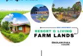 Resort & Living Farm Lands For Sale @ Yadadri