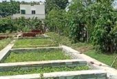 1 Acre Farmhouse in Kukinda Dharur Vikarabad