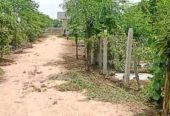 1 Acre Farmhouse in Kukinda Dharur Vikarabad