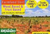 Nidhivanam – The Wealth Park – Farmlands in Guntur