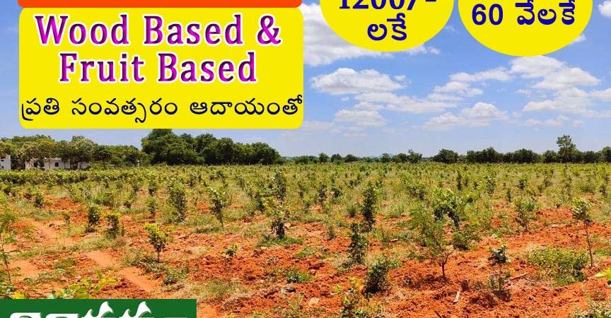 Nidhivanam – The Wealth Park – Farmlands in Guntur