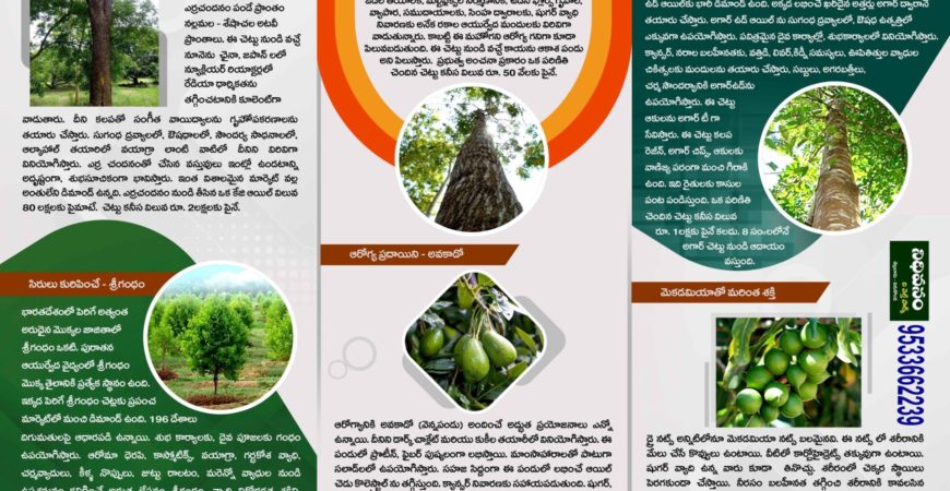 Nidhivanam – The Wealth Park – Farmlands in Guntur