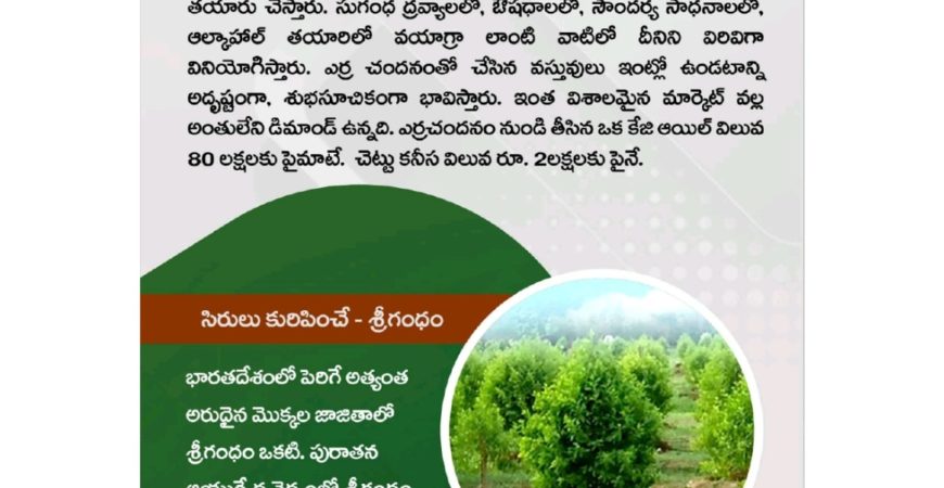 Nidhivanam – The Wealth Park – Farmlands in Guntur