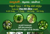 Nidhivanam – The Wealth Park – Farmlands in Guntur