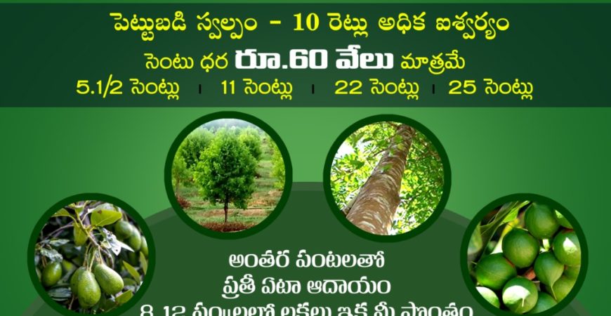 Nidhivanam – The Wealth Park – Farmlands in Guntur