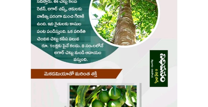 Nidhivanam – The Wealth Park – Farmlands in Guntur