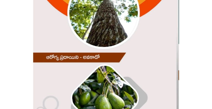 Nidhivanam – The Wealth Park – Farmlands in Guntur