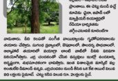 Nidhivanam – The Wealth Park – Farmlands in Guntur