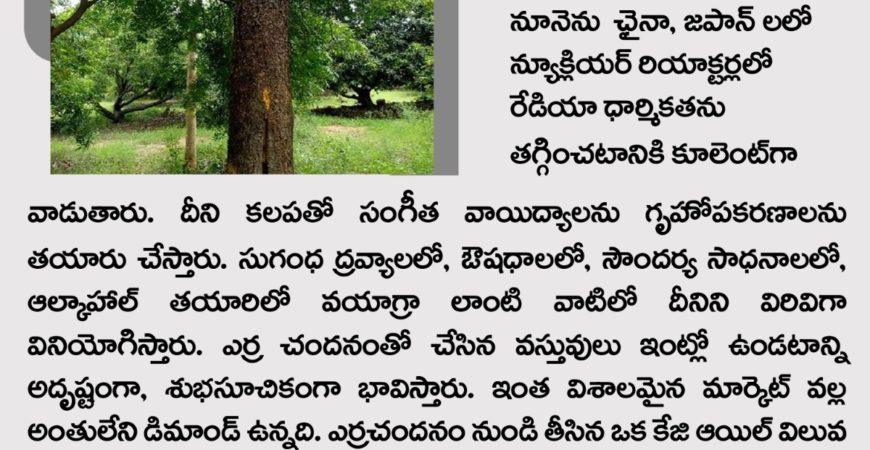 Nidhivanam – The Wealth Park – Farmlands in Guntur