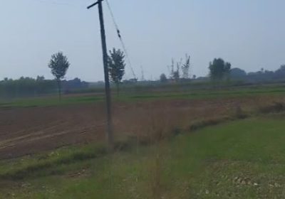 100 Acre Agriculture Land in Mohali