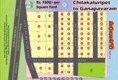 Chilakaluripet, Madhuranagar, Guntur