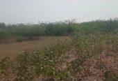 1 Acre Agriculture land for sale at Bhongiri